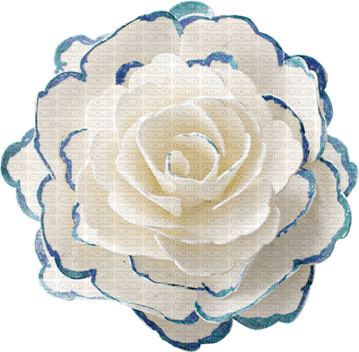 rose blanche.Cheyenne63 - png ฟรี