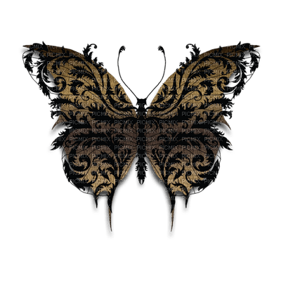 Motyle Gothic - zadarmo png