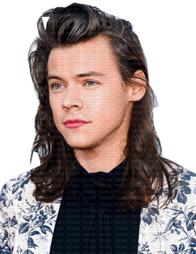 harry styles - png ฟรี