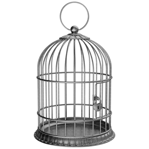 kikkapink deco scrap cage - gratis png
