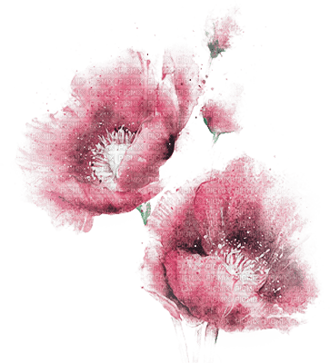 soave deco flowers painting spring summer  branch - ilmainen png