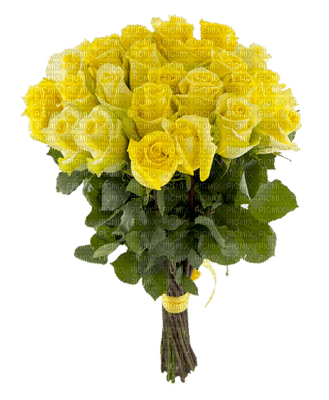 yellow flowers -Nitsa Papakon3 - 免费PNG
