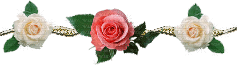 Rose - GIF animado grátis