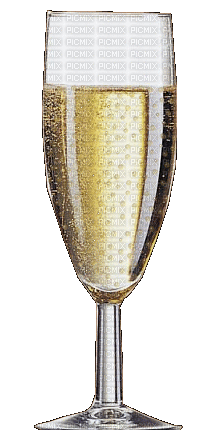 szampan - Nemokamas animacinis gif
