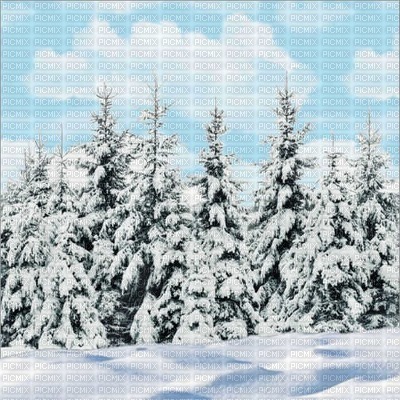 Winter - 無料png