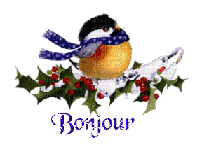 petit oiseau bonjour-Danna1 - Бесплатный анимированный гифка