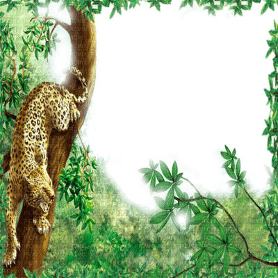 jungle frame leopard cadre jungle - bezmaksas png