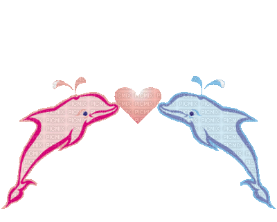 coeur de dauphins - Darmowy animowany GIF