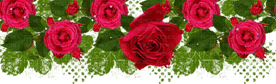 red rose border rose rouge bordure - png ฟรี