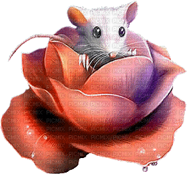cecily-souris dans rose - png ฟรี