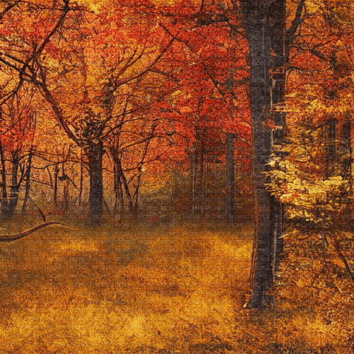 kikkapink autumn forest background painting - gratis png