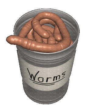 worms - Бесплатный анимированный гифка