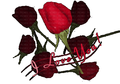 Rose Red Green Text Love Gif - Bogusia - Free animated GIF