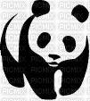 panda - kostenlos png