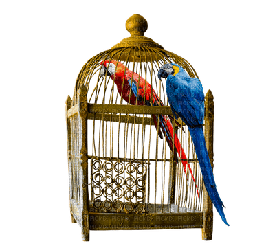 birdcage bp - besplatni png