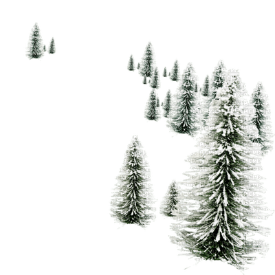 trees Winter landscape_arbres hiver paysage - PNG gratuit