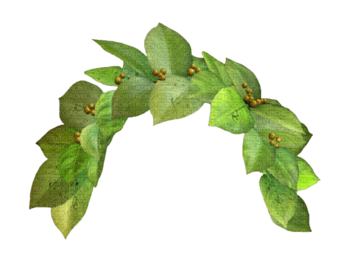 ✶ Leaves {by Merishy} ✶ - PNG gratuit
