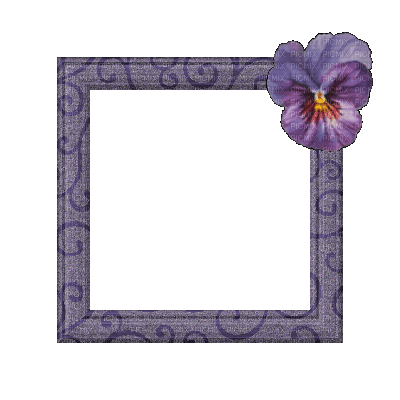 Small Purple Frame - Gratis animerad GIF