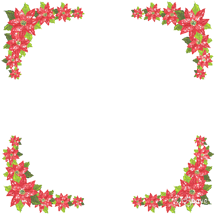 soave frame christmas animated flowers winter - Бесплатный анимированный гифка