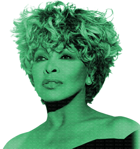 Tina Turner - Bogusia - png ฟรี