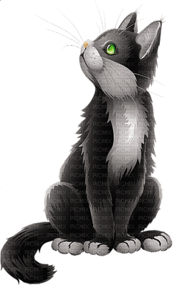 a cat - Free PNG
