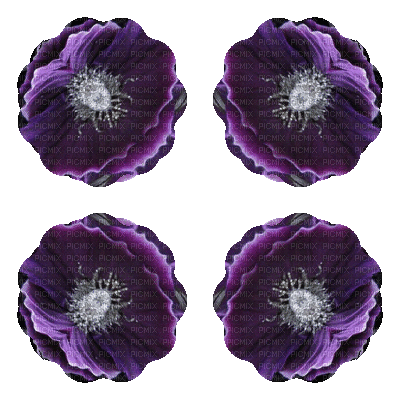 kaleidoscop 10 - GIF เคลื่อนไหวฟรี