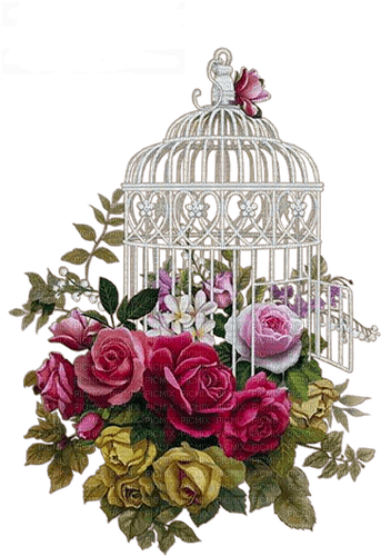 Cage.Fleurs.Flowers.Deco.Victoriabea - Free PNG