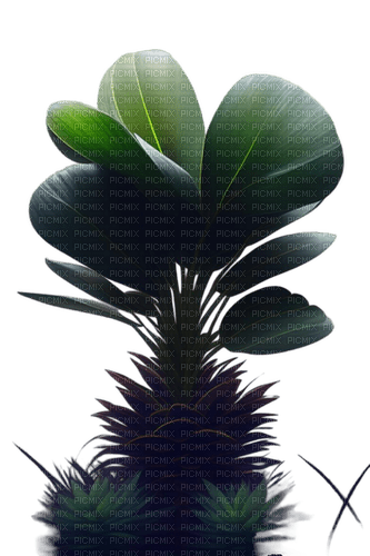 plante - 免费PNG