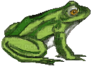 frog - Animovaný GIF zadarmo