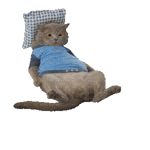Bored Cat - Animovaný GIF zadarmo