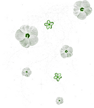 soave deco flowers scrap white green - 免费PNG