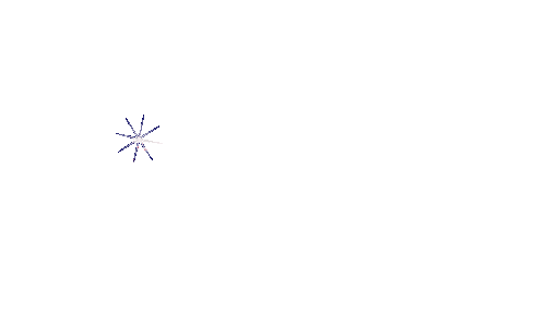 stern star - GIF animate gratis