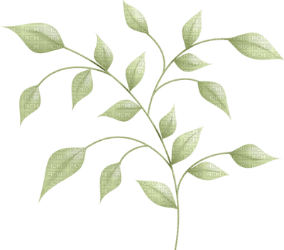 Kaz_Creations Leaves Leafs Colours - 無料png