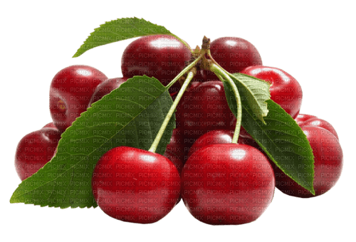 cherry by nataliplus - zadarmo png
