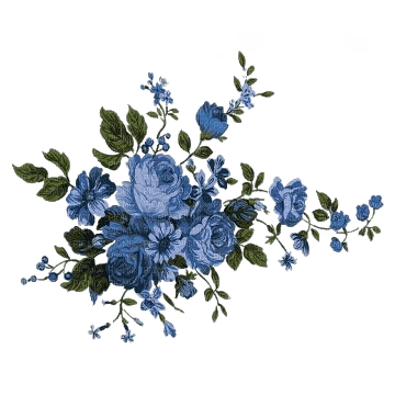 Rosen, Blau, Roses blue - nemokama png