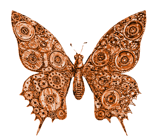 Steampunk.Butterfly.Brown - By KittyKatLuv65 - Free animated GIF