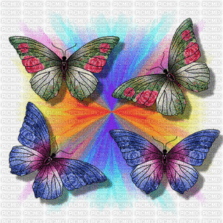 Papillon.Cheyenne63 - GIF animado gratis