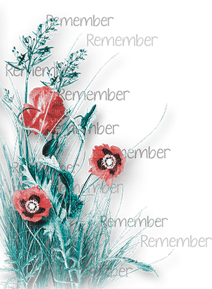 soave deco flowers poppy corner branch text - PNG gratuit