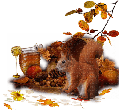 Kaz_Creations Autumn 🍂 Deco - gratis png