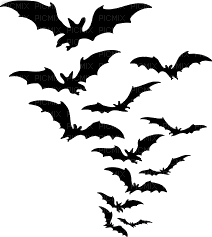 bats - Free PNG