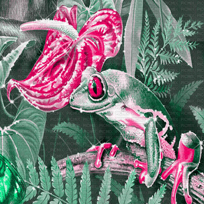 dolceluna animated tropical background gif - Δωρεάν κινούμενο GIF