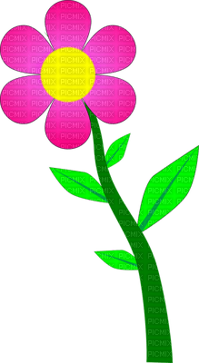 flower - darmowe png