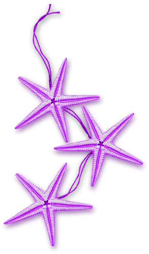 Starfish.Purple - png gratuito