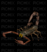 scorpion - Darmowy animowany GIF