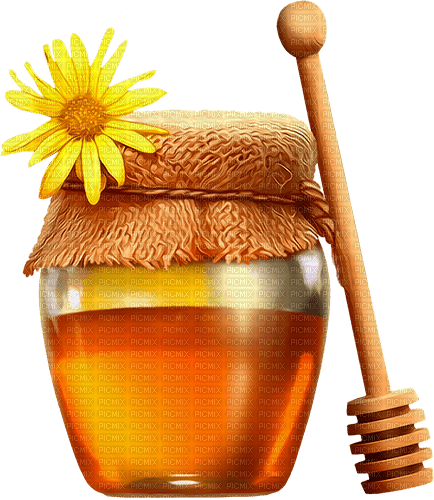 Jar Of Honey.Yellow.Brown - gratis png