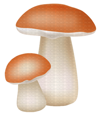 Kaz_Creations  Mushrooms Mushroom - Free PNG