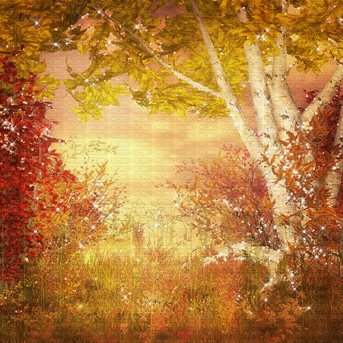 kikkapink autumn background forest - Darmowy animowany GIF