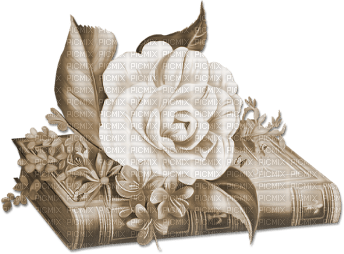 soave deco vintage book flowers rose sepia - 免费PNG