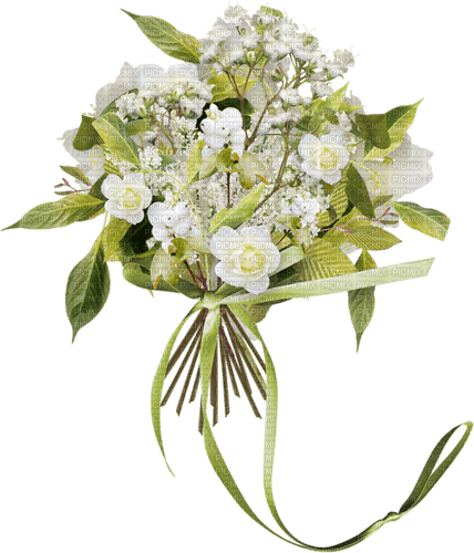 Fleurs blanches.Bouquet.Flowers.Victoriabea - gratis png