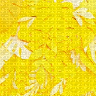 Yellow Background - 無料png